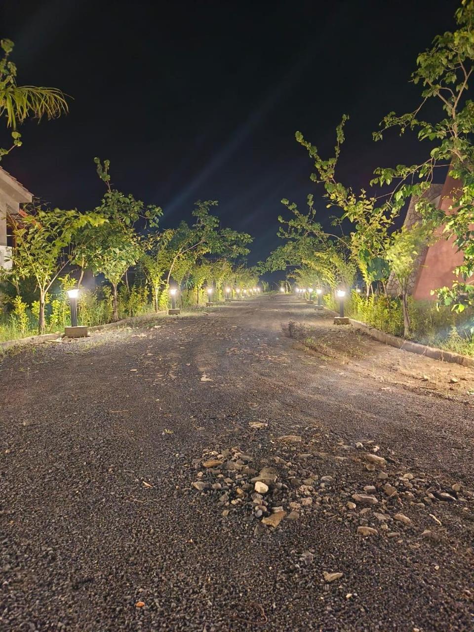 Baghvann Jungle Resort Kolāra 外观 照片